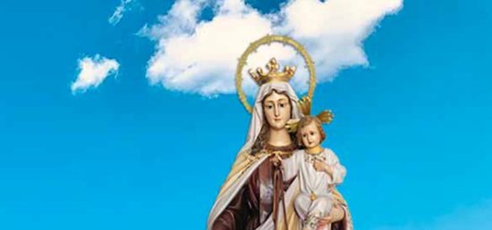 Verbena Virgen del Carmen